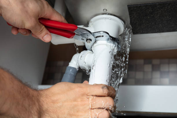 Best Local water damage restoration  in Metamora, IL