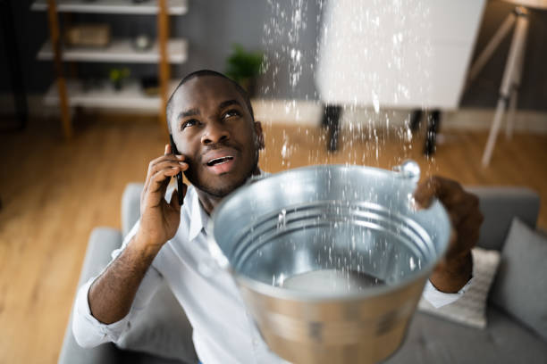 Best Sewage cleanup and water damage restoration  in Metamora, IL