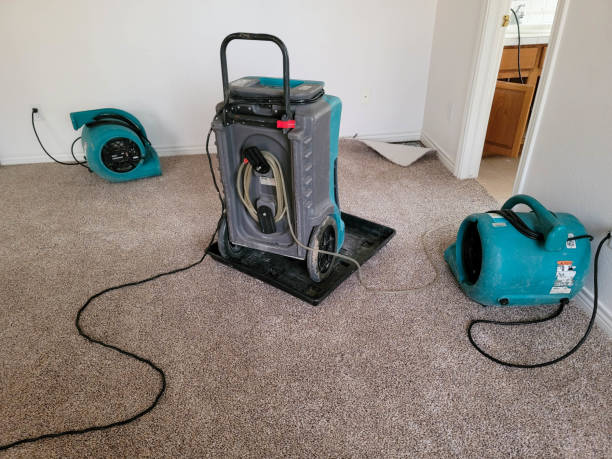 Best Water damage restoration mold remediation  in Metamora, IL