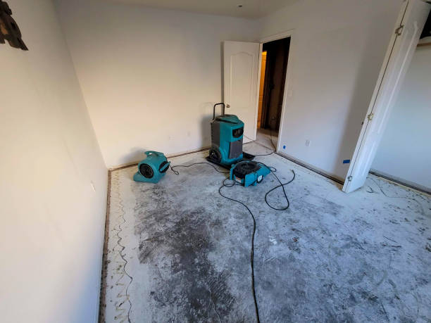 Best Water damage contractors near me  in Metamora, IL