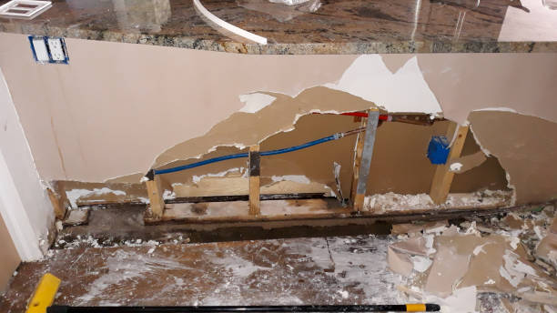 Best Flood damage cleanup  in Metamora, IL