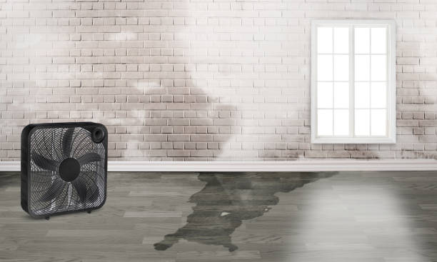 Best Fire Damage Restoration  in Metamora, IL
