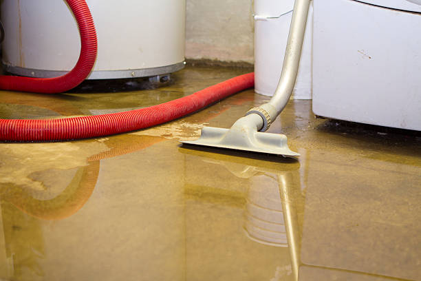 Best 24-hour water damage restoration  in Metamora, IL