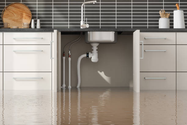 Best Commercial water damage restoration  in Metamora, IL